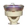 Philips UHP Beamerlampe f. ViewSonic RLC-066 ohne Gehuse RLC066