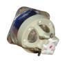 Philips UHP Beamerlampe f. ViewSonic RLC-066 ohne Gehuse RLC066