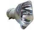 Philips UHP Beamerlampe f. BenQ 5J.J9W05.001 ohne Gehuse 5JJ9W05001