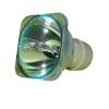 Philips UHP 190-160/0.8 E20.9 - UHP Projektorlampe 9284 400 05390