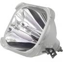 OSRAM P-VIP 100-120/1.0 P22h