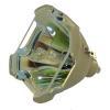 Osram P-VIP 300/1.3 P22.5 - Originallampe
