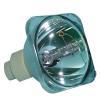 Osram P-VIP Beamerlampe f. Optoma BL-FP260A ohne Gehuse DE.5811100038