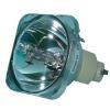 Osram P-VIP Beamerlampe f. Mitsubishi VLT-XD520LP ohne Gehuse VLTXD520LP