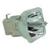 Osram P-VIP Beamerlampe f. Boxlight SP650Z-930 ohne Gehuse RAVENXB930