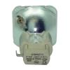 Osram P-VIP Beamerlampe f. Boxlight SP650Z-930 ohne Gehuse RAVENXB930