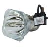 Phoenix SHP Beamerlampe f. Phoenix SHP74 ohne Halterung - Original Ersatzlampe