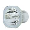 Phoenix SHP Beamerlampe f. Toshiba TLP-LW10 ohne Gehäuse TLPLW10