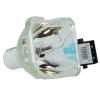 Phoenix SHP Beamerlampe f. Toshiba TLP-LW11 ohne Halterung - Original Ersatzlampe
