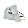 Phoenix SHP Beamerlampe f. ViewSonic RLC-055 ohne Gehuse RLC055